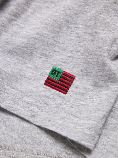 DT Flag 3-Pack Tee Grey – view 3