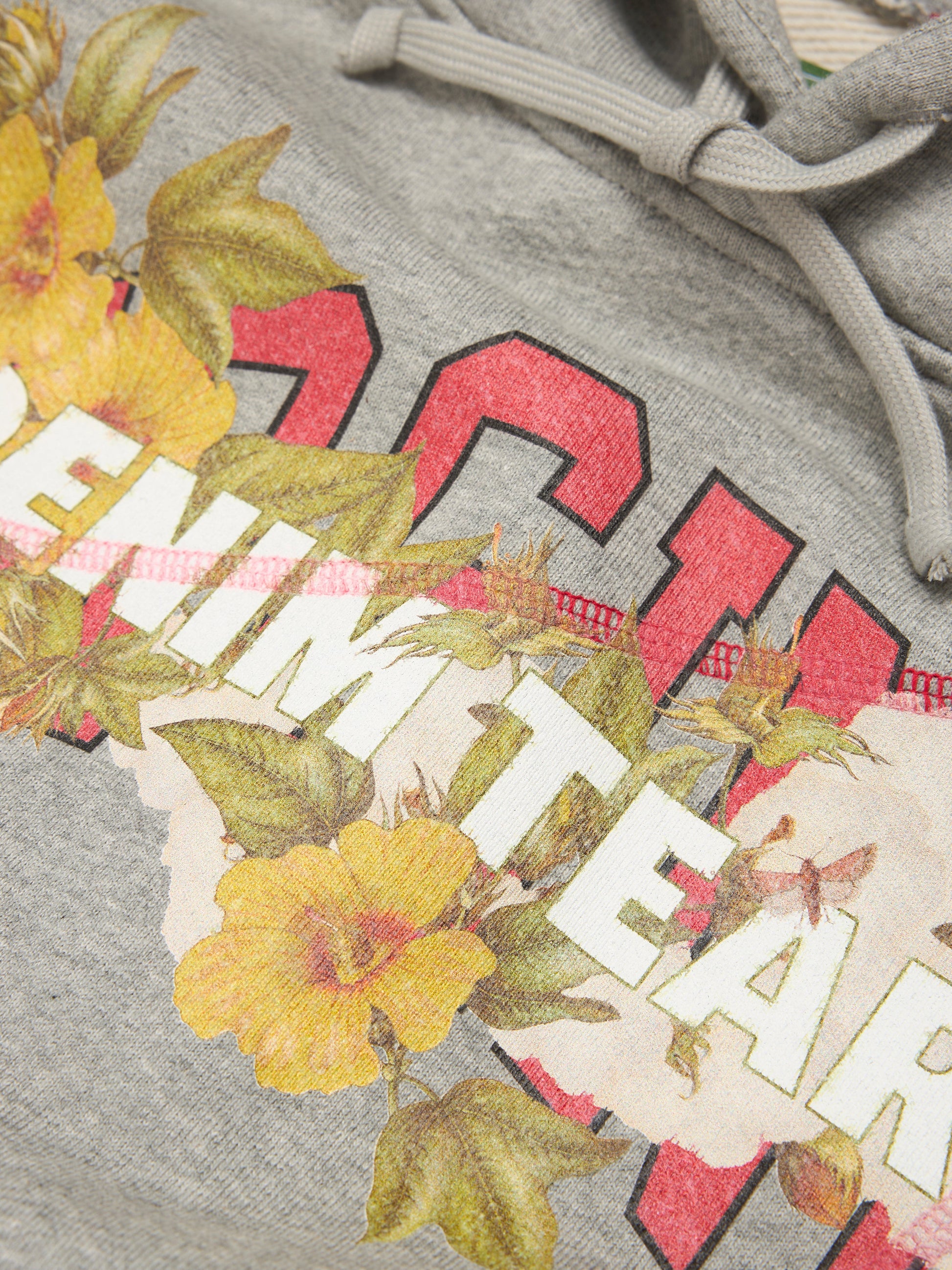 DT Virginia Overlock Stitch Hoodie Grey – view 3