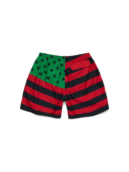 Flag Swim Trunks – view 2